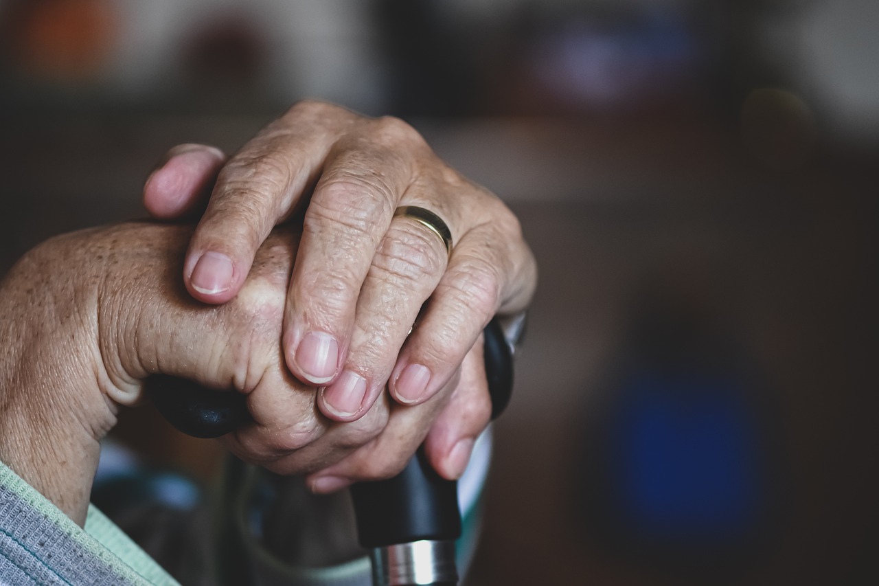 care-for-the-elderly-gdbfedb1c0_1280